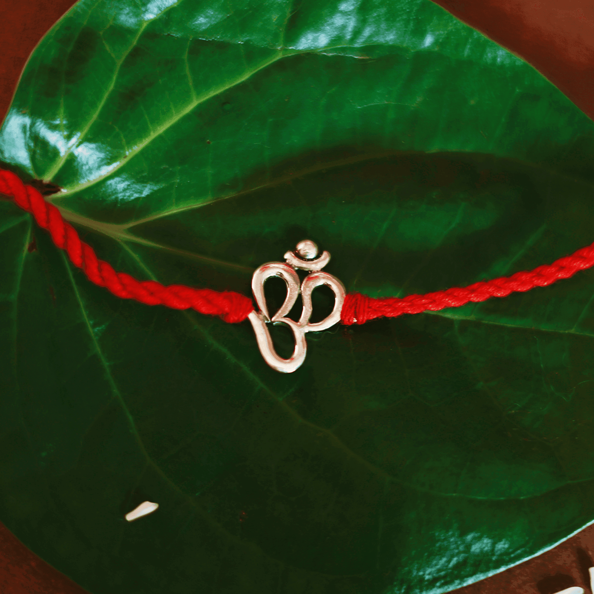 Sacred Om Rakhi