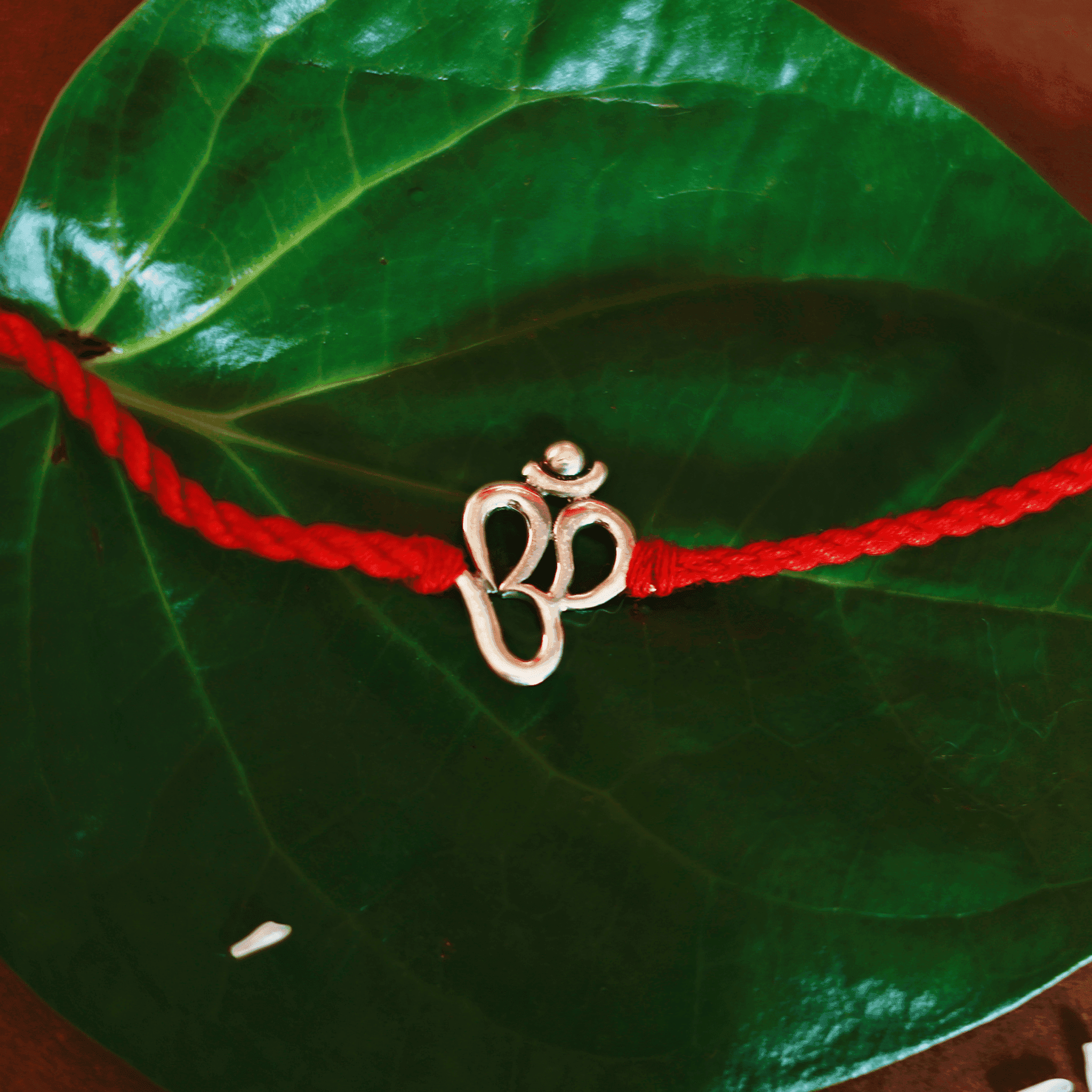 Sacred Om Rakhi
