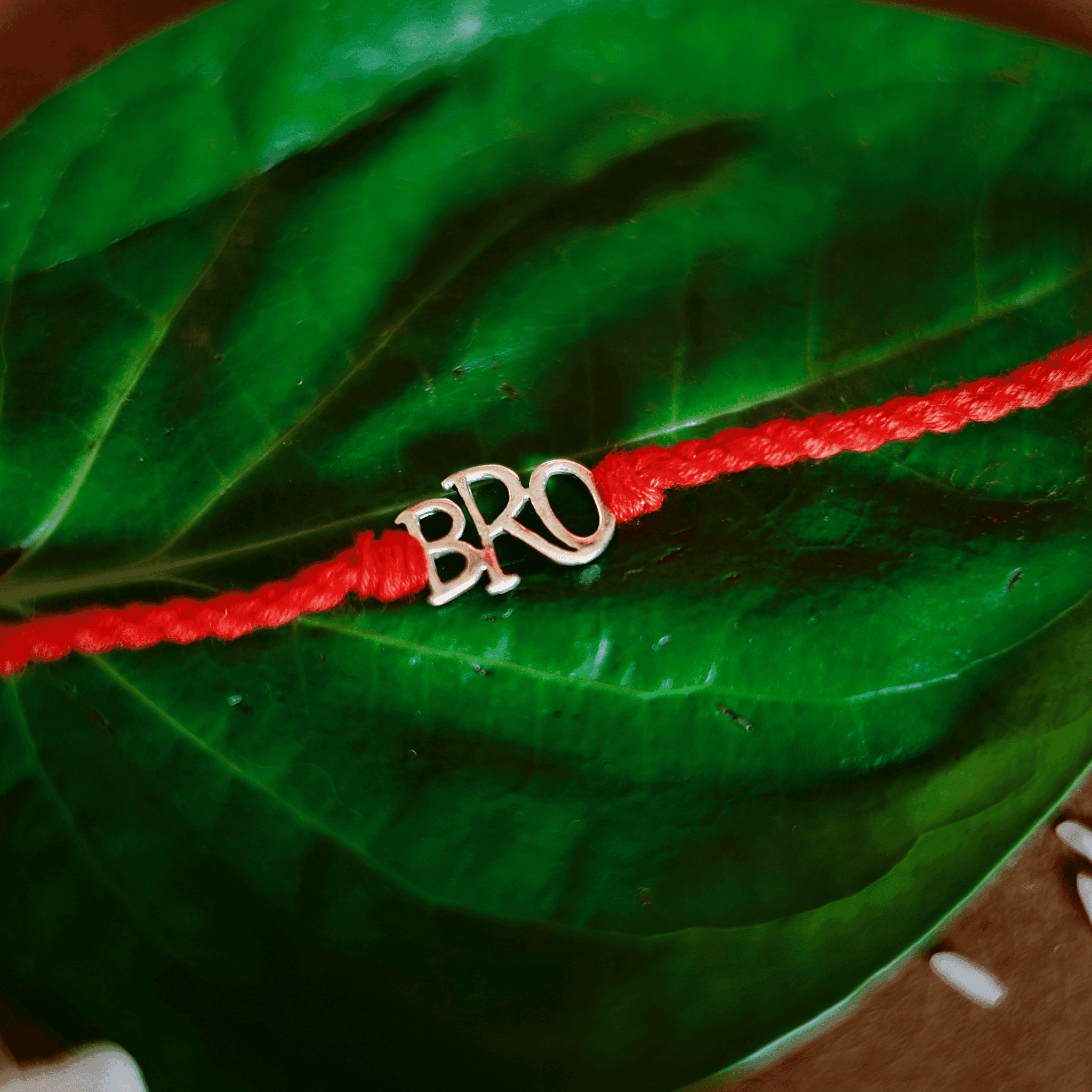 Silver Bro Rakhi