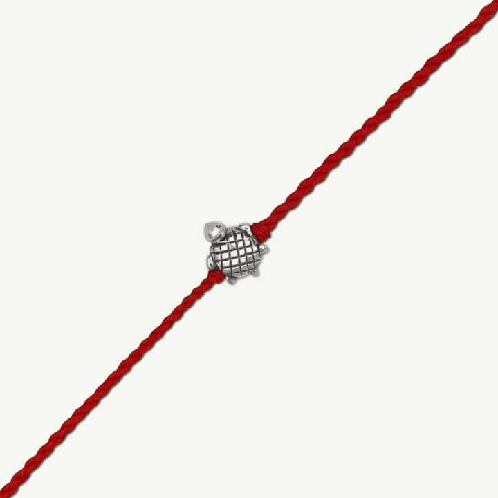 Silver Turtle Rakhi